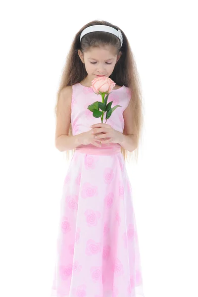 一朵玫瑰的小女孩. — 图库照片