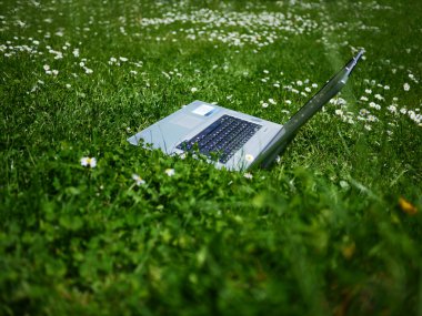 Notebook in a Meadow - natural clipart