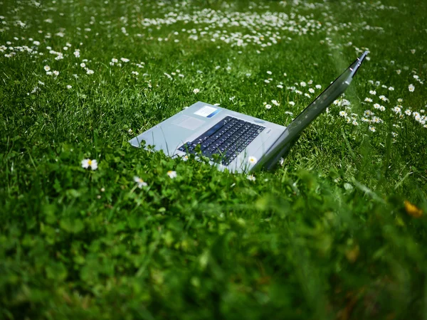 Ноутбук на лугу - натуральный Лицензионные Стоковые Фото