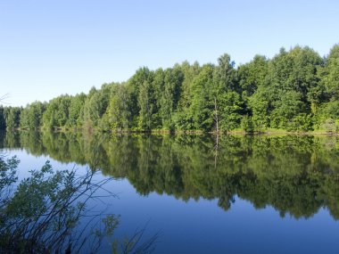 ahşap lake