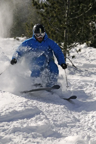 Sciatore freeride in neve fresca. — Foto Stock