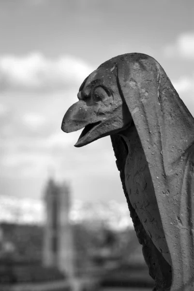 stock image Gargoyle