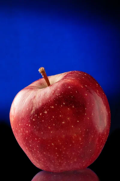 Rött äpple i svart och blå bakgrund — Stockfoto
