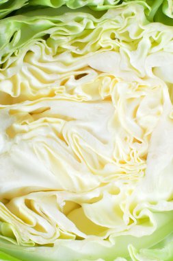 Ripe chopped cabbage on a white background clipart