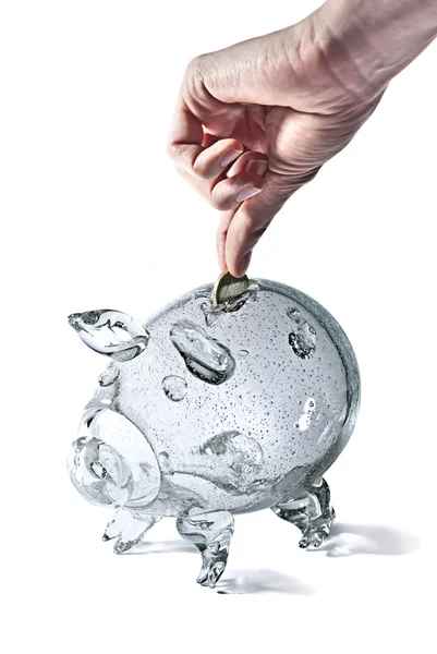 stock image Piggy bank