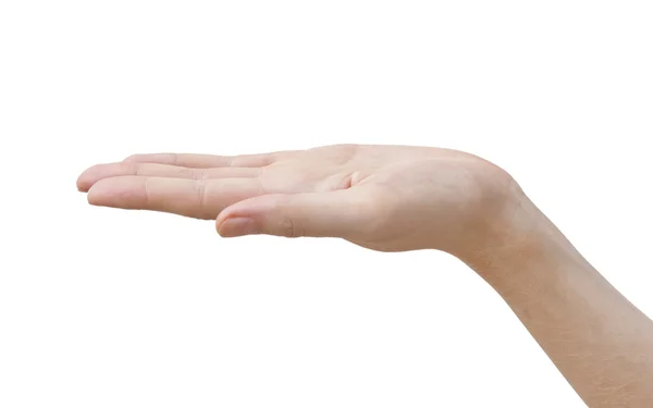 Человеческая рука открыта — стоковое фото
