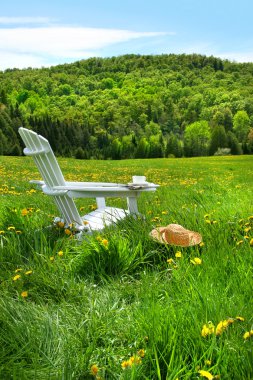 Relaxing on a summer chair in a field clipart