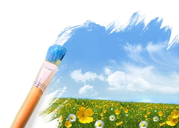 Pintar un campo lleno de flores silvestres —  Fotos de Stock