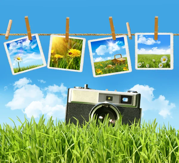 Grass with vintage camera and pictures — Stock Photo, Image