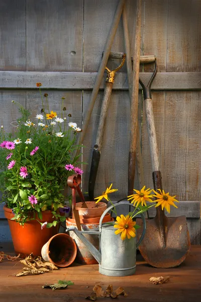 Cobertizo de jardín con herramientas y ollas — Foto de Stock