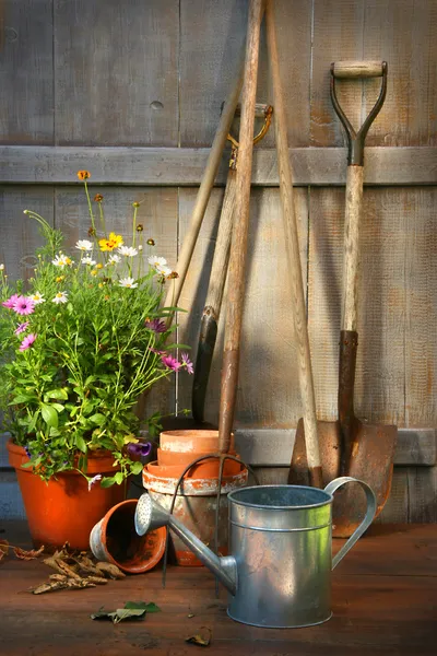 Narzędzia ogrodowe i kwiaty w szopie — Zdjęcie stockowe