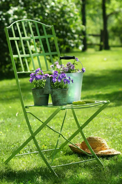 녹색 정원의 자 — 스톡 사진