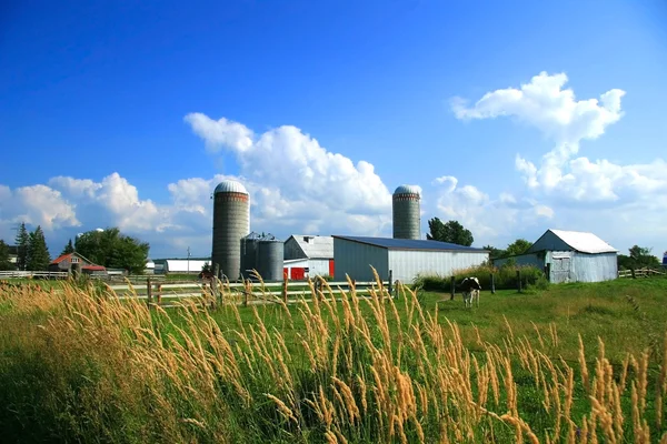 Werkende boerderij in rural quebec — Stockfoto