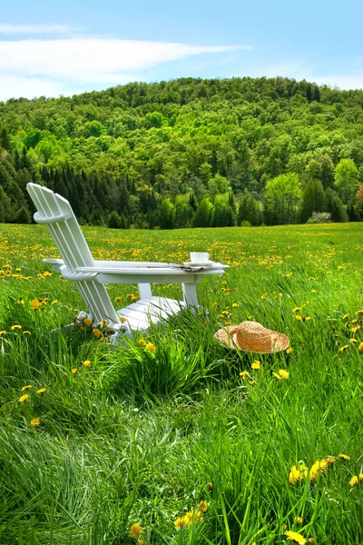 Χαλαρώνοντας σε μια καρέκλα καλοκαίρι σε ένα πεδίο — Φωτογραφία Αρχείου