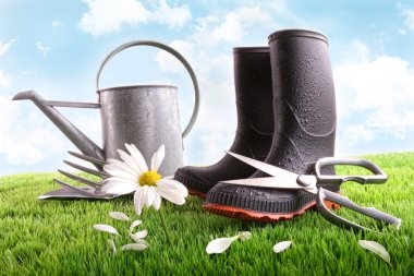 Boots with watering can and daisy in grass clipart