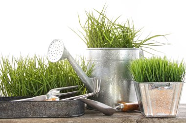 Garden tools and watering can with grass clipart