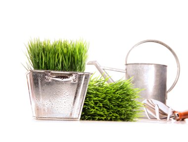 Watering can with grass and tools clipart