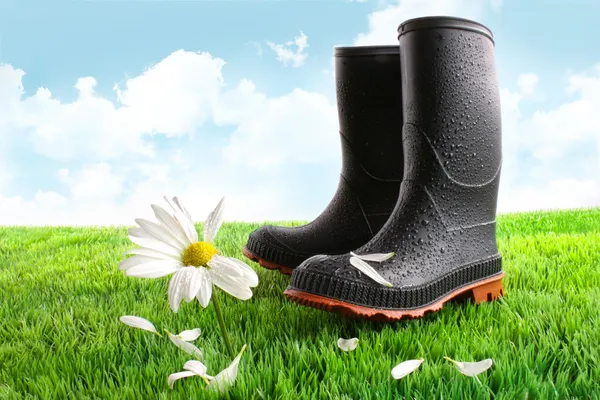 Gumové boty s daisy v trávě — Stock fotografie