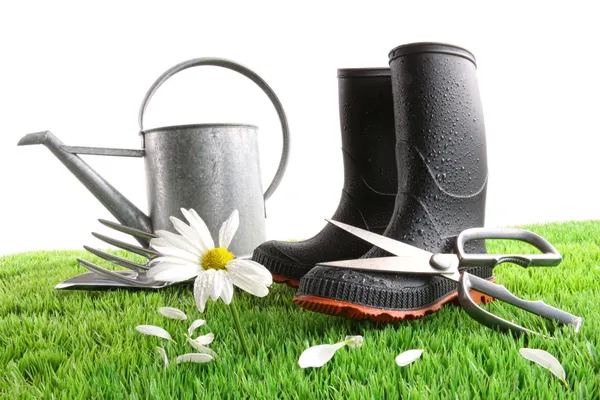Buty z konewka i stokrotka w trawie — Zdjęcie stockowe