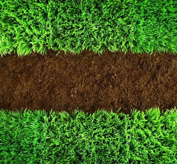 Grönt gräs och jord bakgrund — Stockfoto
