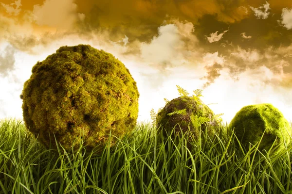 Moss cubierto bolas que ponen en la hierba alta —  Fotos de Stock