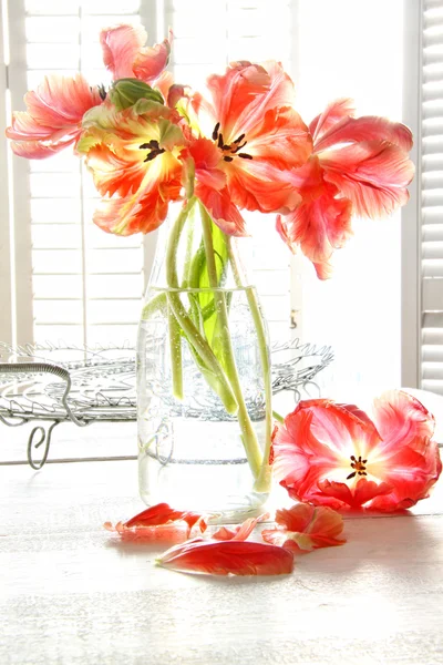 Hermosos tulipanes en botella de leche vieja —  Fotos de Stock