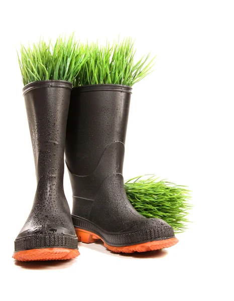 Stivali in gomma con erba su bianco — Foto Stock