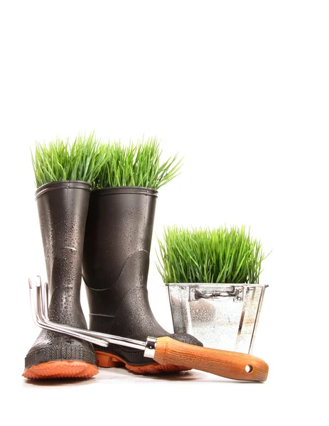 Rubberen laarzen met gras in pot en tool — Stockfoto