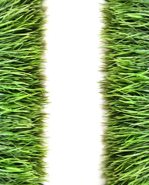 Над видом травы на белом фоне — стоковое фото