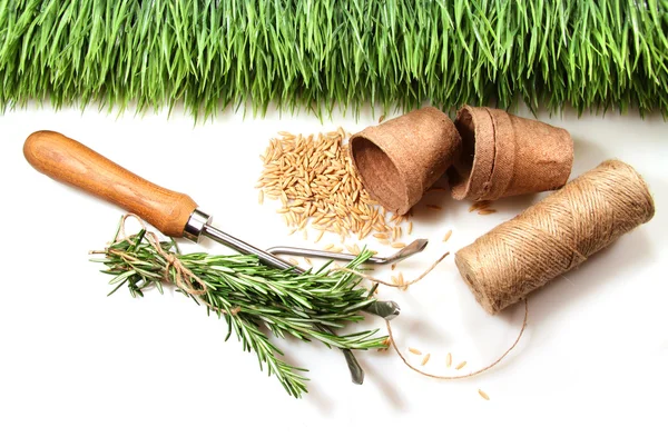 Grass, seeds, cord and peat pots for spring — Stock Photo, Image