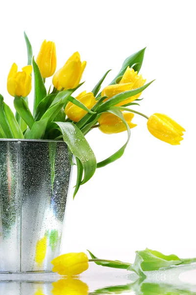 Tavaszi sárga tulipánok — Stock Fotó