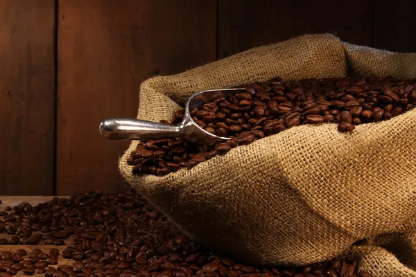 Kaffebönor i säckväv — Stockfoto