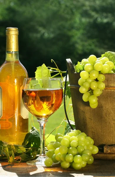 Vino bianco con bottiglia e uva — Foto Stock