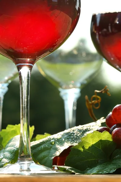 Glow of red wine — Stock Photo, Image
