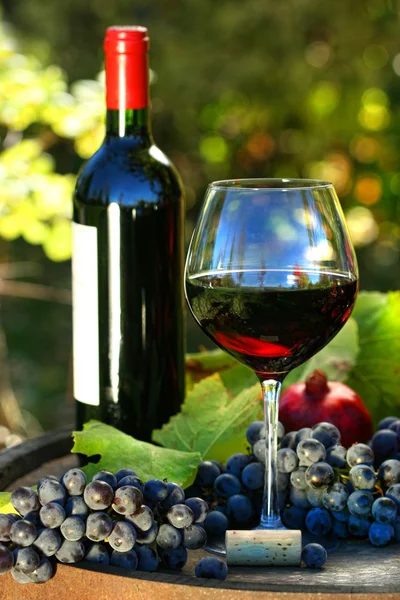 Ποτήρι κόκκινο κρασί με το μπουκάλι και σταφύλια κατά φύλλωμα — Φωτογραφία Αρχείου