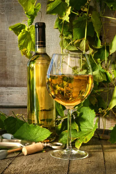 Copo de vinho branco e garrafa no barril com videiras no fundo — Fotografia de Stock