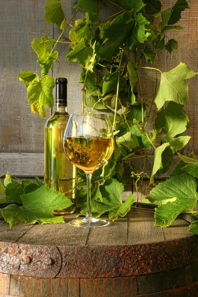 Stilleben av vitt vin och grapevine — Stockfoto