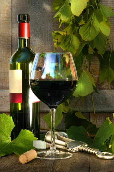 Csendélet vörös bor a palack, üveg és szőlő — Stock Fotó
