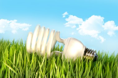 Eco-friendly lighbulb lying in the grass clipart