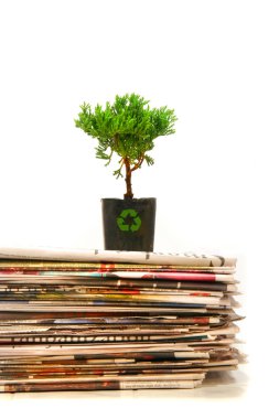 Plant on top of pile of newspapers clipart