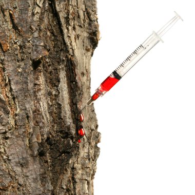 Syringe inserted into tree trunk on white clipart