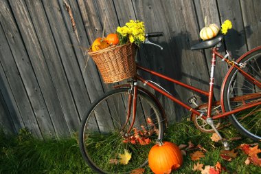Old bicycle with pumpkins clipart