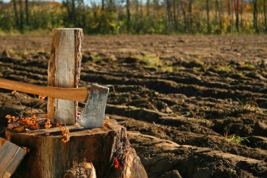 Wood chopping day clipart