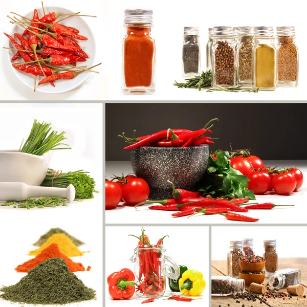 Bottles of colorful spices with grey — Stock Photo, Image