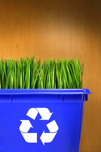 Blue recycle bin met gras binnen — Stockfoto