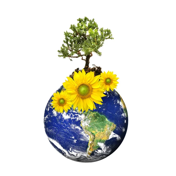 Erde mit einem Baum und Blumen isoliert vor weißem Hintergrund — Stockfoto
