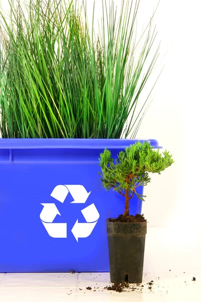 Hoog gras binnen recycleren bin — Stockfoto