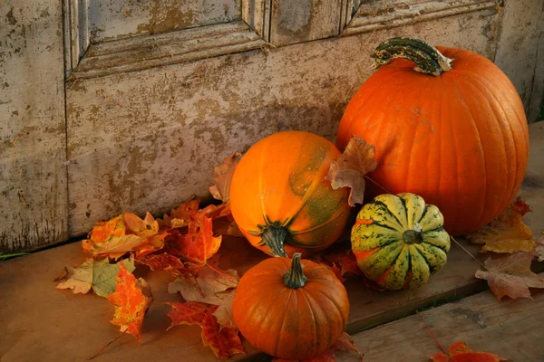 Fall harvest/ Pumpkins and gourds at the door — Stock Photo, Image