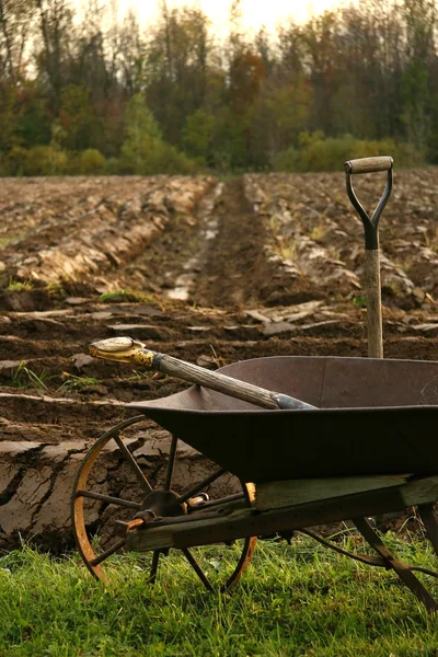 stock image Autumn gardening