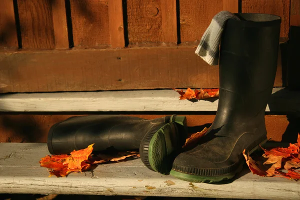Botas de goma colocadas en escalones de porche —  Fotos de Stock